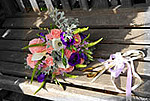 Terry and Jane (Registry Office Package) portfolio